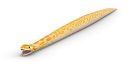 LowPoly Realistic Yellow Python Snake tile, lizard, viper, venom, ornament, cobra, snake, predator, python, pattern, african, creeper, scales, yellow, reptile, fangs, game-ready, hose, ornamental, reptiles, gigantic, low-poly-model, lowpolymodel, gigant, tileabletexture, aspid, weapon, character, low, model, gameasset, creature, animal, monster, fantasy, polygon, gameready, ealistic