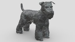 schnauzer V1 3D print model stl, dog, pet, animals, figurine, 3dprinting, doge, 3dprint, dogstl, stldog