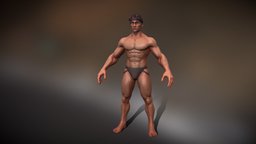 Stylized Male Game Model & Basemesh body, anatomy, muscle, man, female, stylized