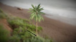 Realistic Palm Tree Model vol.1 tree, palm, unreal, new, downlodable, unity, 3d, model, free, 2022, ue5