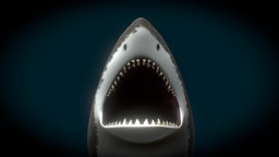 Shark shark, substance, blender, free, download, sea