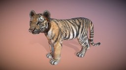 Animalia tiger, quadruped, gim, animalia, animal, animated
