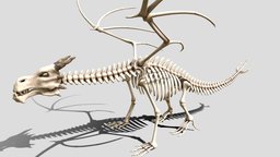 Dragon skeleton skeleton, bone, print, 3d, monster, dragon