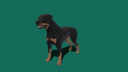 Rottweiler mammal, canine, breed, rottweiler, creature, animal, animation, nyi, nyilonelycompany