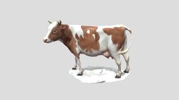Cow brown cow, bronze, myanmar, animal, nyi