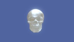 Glass Skull glass, skull, 3dscan, trnio-plus, glass-skull