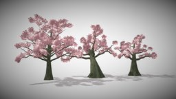 Jabami Anime Sakura blossom tree, sakura, vegetation, manga, novel, blossom, webtoon, japanese
