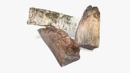 Logs Rotten tree, sculpt, forest, cute, barrel, log, pine, photorealistic, planks, realistic, moss, weathered, firewood, rotten, lichen