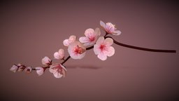 Cherry Blossoms Branch Rigged Animated tree, flower, japan, color, nature, bush, blossom, cherryblossum, rigged-and-animation