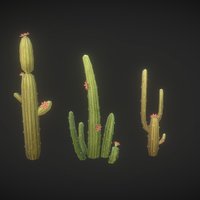 Cactus gaming, environment