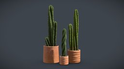 Cactus Pack pot, spikes, tropical, cactus, indoor, exotic, potted, ceramic, terracotta, interior