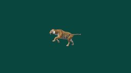 Tiger Animations (Non-Commercial) tiger, creature, animal, animation, nyilonelycompany
