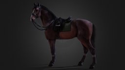Dressage horse saddle, horses, equine, tack, bridle, blender, horse, animal