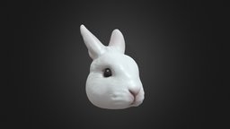 Jacob Ngs rabbit model rabbit, custom-made