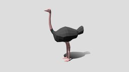 Low Poly Cartoon Ostrich topology, cartoonish, zoo, realistic, zoo-animal, low-poly, cartoon, lowpoly, gameart, gameasset, gameready, ostich