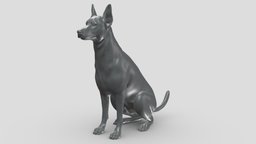 Zwergpinscher V2 3D print model stl, dog, pet, animals, figurine, 3dprinting, doge, 3dprint, dogstl, stldog