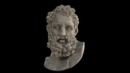 Marble head of Herakles hercules, marble, museum, roman, heracles, metropolitan, herakles, realitycapture, art, bust, sculpture