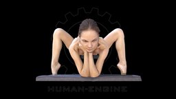 Sylph Anatomical Scan 312 body, anatomy, muscle, engine, woman, flexible, realitycapture, character, girl, photogrammetry, asset, model, female, human, person, contortionist, human-engine