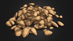 Shelled Almonds fruit, nuts, shell, nut, almendras, almendra, almond, almonds, 3dsmax, almonds-nut, amandola, pronus, almande, alemande, amygdaloid