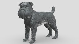 Brussels Griffon V1 3D print model stl, dog, pet, animals, figurine, 3dprinting, doge, 3dprint, dogstl, stldog