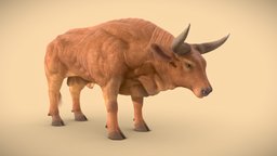 bull animal cow, beast, pet, buffalo, quadruped, bull, vr, ar, game-art, beef, game-ready, beasts, longhorn, game-asset, character-model, moviecharacter, cattle, animal-anatomy, oxen, animals-creatures, herd, cattle-farming, game, gameasset, animal, game-animal, animal-character, calves, bull-concept, bull-character, oxen-character, bull-creature, oxen-concept, oxen-creature, bull-model, realistic-bull, game-bull, movie-bull, movie-animal-character, "game-ready-animal", "animal-art", "realistic-animal"