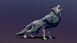 Wolf Animated beast, forest, dog, wild, rig, growl, bark, wolfman, howl, howling, wolves, woof, whine, yelp, character, creature, animal, animation, animated, wolf, snarl, whimper