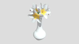 Flower vase pot, flower, vase, flowers, nature, interior-design, house, home, decoration, interior