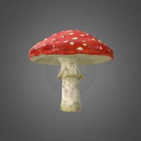 Fly agaric mushroom, mudbox, nature, maya, gameasset