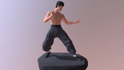 Bruce Lee 3D Model(MAX OBJ FBX) combat, martial, kungfu