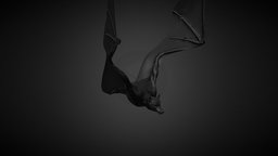Bat animated character 