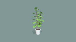 Large Leaves Interior Plant office, plant, modern, pot, exterior, potted, nice, decor, large, pbr, low, poly, home, decoration, leaves, interior