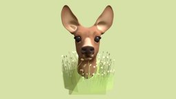 Deer in a field deer