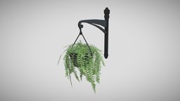 Hanging Fern plant, modern, pot, flower, garden, hanging, flowers, ornament, support, leaf, fern, rope, nature, facade, houseplants, low, poly, design, house, home, decoration, leaves, interior, door, wall