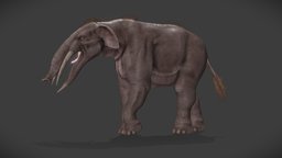Gomphotherium Augustidens elephant, b3d, walking, quadruped, prehistorique, prehistorical, blender, blender3d, creature, animal, walk, animation, animated, prehistoric, gomphotherium, pachyderm