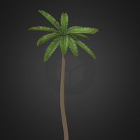 Palm Tree Medium 
