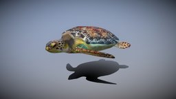 sea turtle turtle, seat, shell, swimming, animatedcharacter, rigged-character, war, loggerhead-turtle
