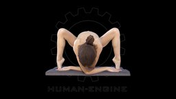 Sylph Anatomical Scan 313 body, anatomy, muscle, engine, woman, flexible, realitycapture, character, girl, photogrammetry, asset, model, female, human, person, contortionist, human-engine