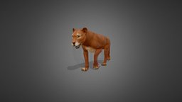 Lioness Animations Pack cat, pet, npc, lion, lioness, maya, character, unity, creature, animal, animation
