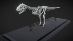 Majungasaurus Skeleton skeleton, bone, fossil, jurassic, carnivore, jurassicpark, texured, majungasaurus, smartmaterial, dinosaur