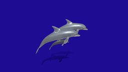 The Dolphin Family family, sealife, dolphin-animal-ocean-creatures, oceanlife