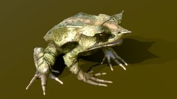 Long-Nosed Horned Frog frog, leaf, horned, froggy, frogs, bullfrog, treefrog, leaves, long-nosed, hornedfrog