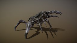 SCOLOKARCK ANIMATIONS insect, bug, mob, boss, alien, scifi, creature, monster, fantasy