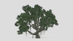 Chinese Banyan Tree-S1 tree, unreal, architectural, china, cheap, banyan, unity, game, free, rong-shu, chinabanyan, chinesebanyan