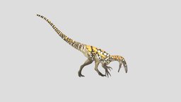 Australovenator wintonensis queensland, museum, cretaceous, dinosaur, australovenator