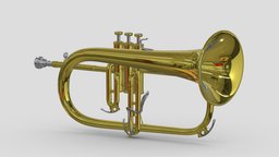 Flugelhorn music, instrument, french, set, musical, equipment, collection, horn, trumpet, brass, trombone, piccolo, alto, saxophone, cornet, tuba, euphonium, flugelhorn