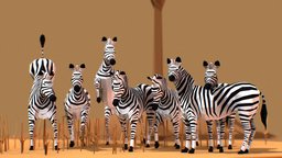 Zebras desert, wild, zebra, stripes, running, savannah, pray, blender, lowpoly, animal