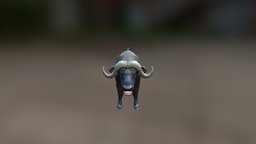 Buffalo Low Poly buffalo