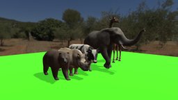 Animal Pack Big elephant, cow, bear, rhino, giraffe