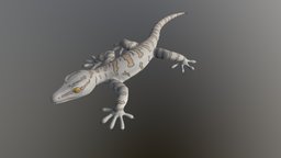 3D Gecko reptile, gecko, cartoon, blender, zbrush, stylized