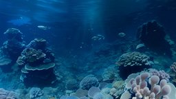 Aquamarine Haven(Under water) underwater, augmentedreality, virtualreality, realistic, stunning, 360-degree-panorama, underwater-photogrammetry, 360-panorama-image, lowpoly, gameasset, environment, underwaterparadise, oceanwonders, 360panoramasea, enchantingseascape, breathtakingoceanview, marinebeauty, coralreefserenity, deepbluepanorama, aweinspiringsea, mesmerizingunderwater, aquaticpanorama, seabedsplendor, underseaspectacle, tranquiltidaltextures, seascapemagic, marinepanoramaview, underwatermarvels, 360oceantextures, seascapesanctuary, submergedpanorama, alistic